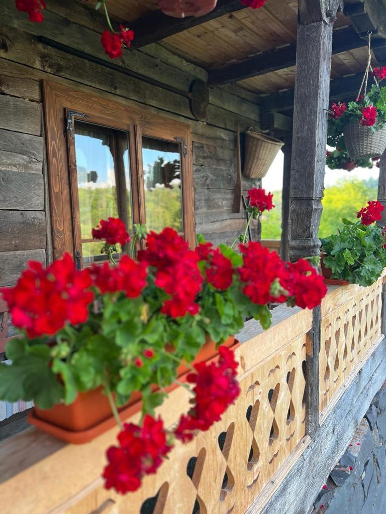 ホテル Casa Veche Breb エクステリア 写真